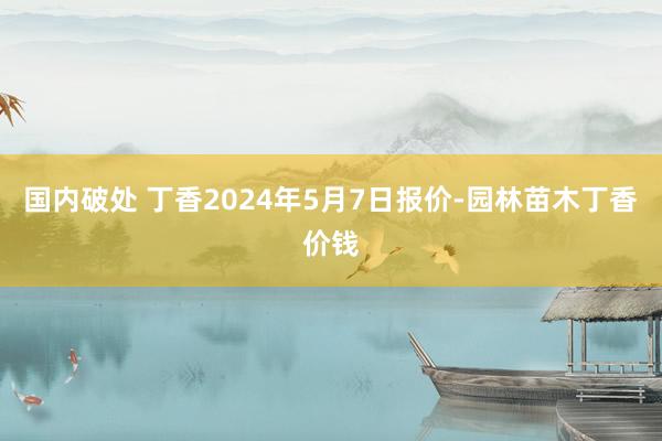 国内破处 丁香2024年5月7日报价-园林苗木丁香价钱