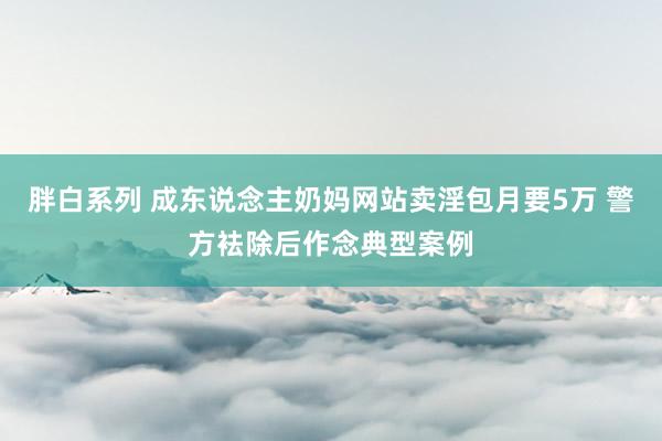 胖白系列 成东说念主奶妈网站卖淫包月要5万 警方袪除后作念典型案例