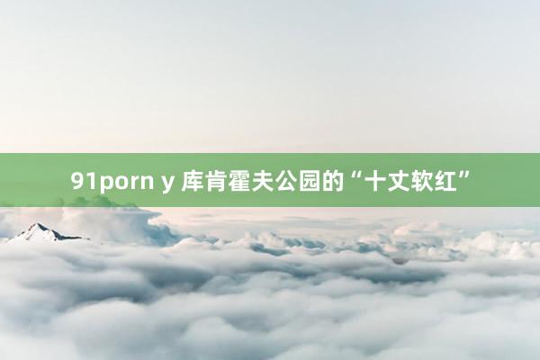 91porn y 库肯霍夫公园的“十丈软红”