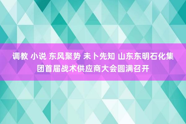 调教 小说 东风聚势 未卜先知 山东东明石化集团首届战术供应商大会圆满召开