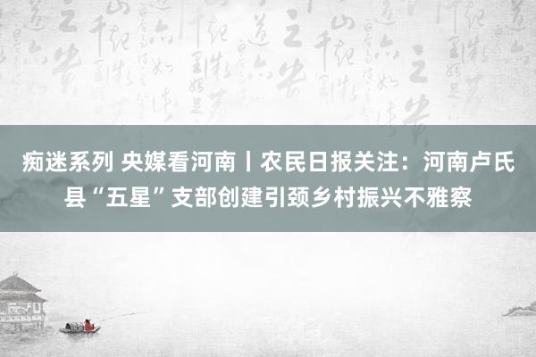 痴迷系列 央媒看河南丨农民日报关注：河南卢氏县“五星”支部创建引颈乡村振兴不雅察