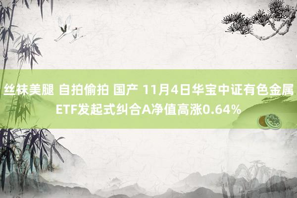 丝袜美腿 自拍偷拍 国产 11月4日华宝中证有色金属ETF发起式纠合A净值高涨0.64%