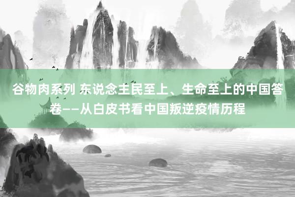 谷物肉系列 东说念主民至上、生命至上的中国答卷——从白皮书看中国叛逆疫情历程