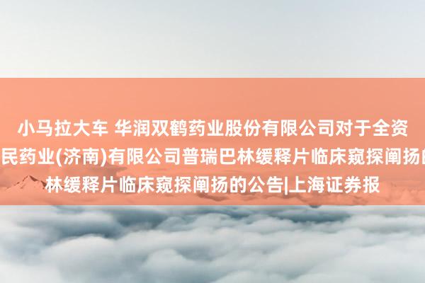 小马拉大车 华润双鹤药业股份有限公司对于全资子公司华润双鹤利民药业(济南)有限公司普瑞巴林缓释片临床窥探阐扬的公告|上海证券报